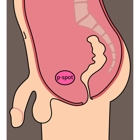F25488